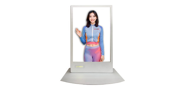 OLED Transparent Display