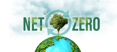 Green Energy and Carbon Reduction Solutions